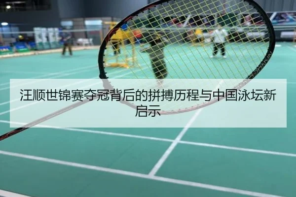 汪顺世锦赛夺冠背后的拼搏历程与中国泳坛新启示
